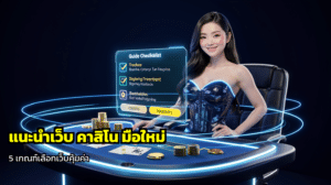 แนะนำเว็บ คาสิโน มือใหม่